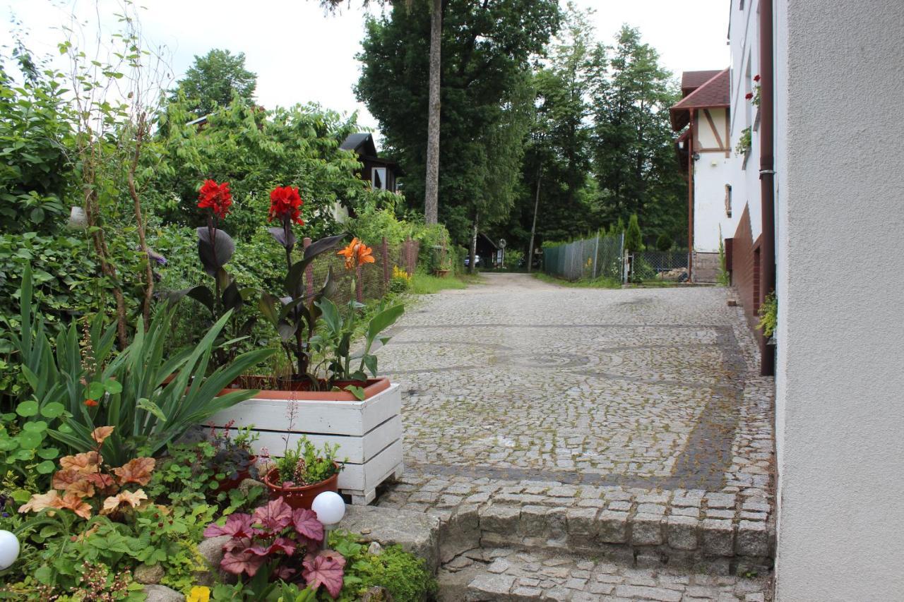 Pokoj Kameralny- De Luxe Z Oddzielnym Wejsciem Карпач Екстер'єр фото